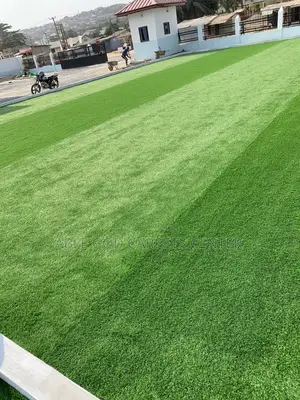 Indoor and Outdoor Grass Carpet / Indoor and Outdoor Astroturf