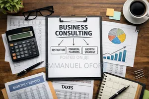 Business Structuring and Consulting