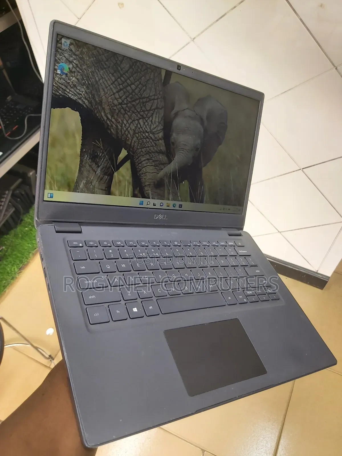 Laptop Dell Latitude 3410 8GB Intel Core i5 SSD 256GB