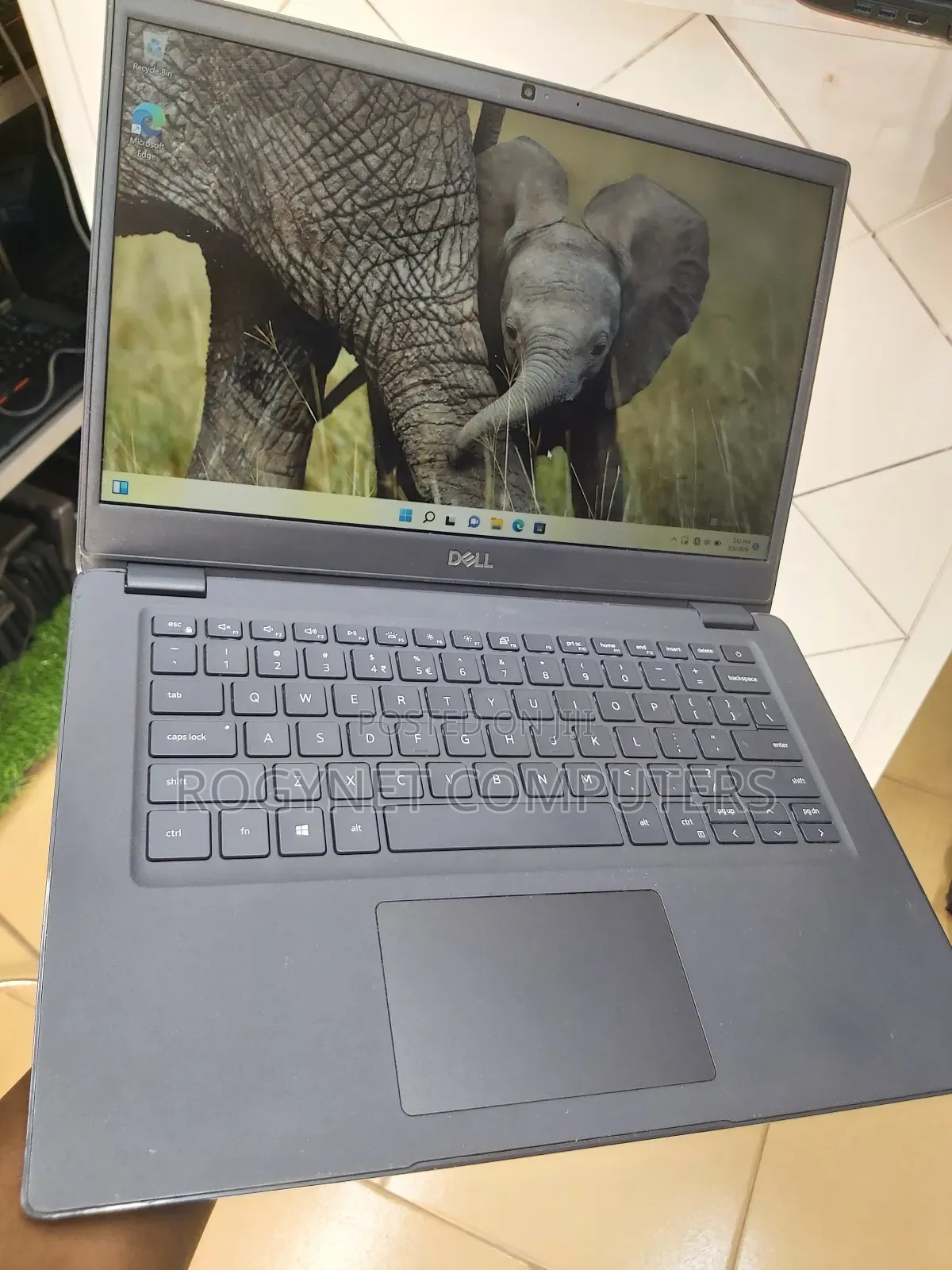 Laptop Dell Latitude 3410 8GB Intel Core i5 SSD 256GB