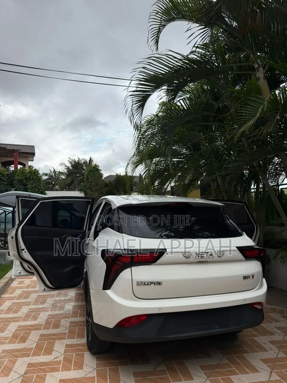 Hozon Neta V 2021 White
