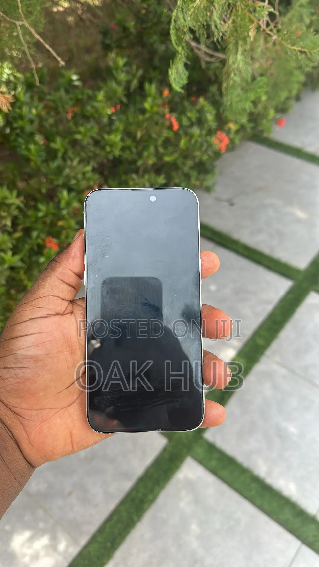 Apple iPhone 15 Pro Max 256 GB Gray