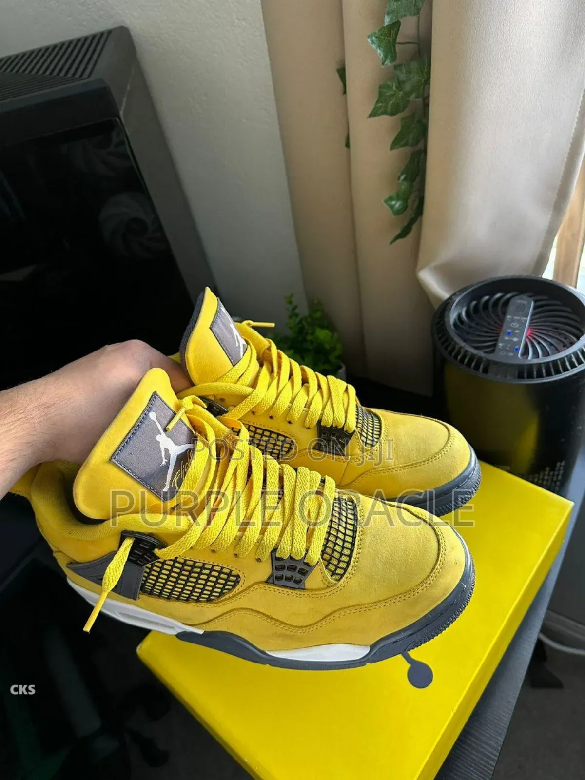 Nike Air Jordan Sneakers.