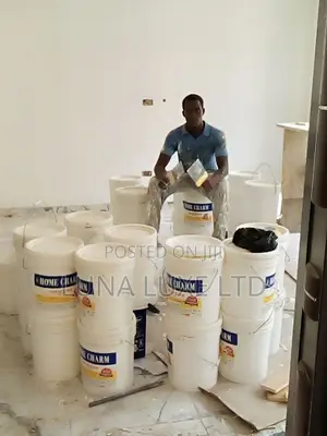 Painter Extraordinaire