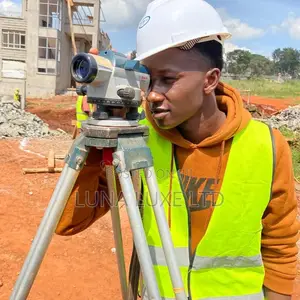 Professional Land Surveys