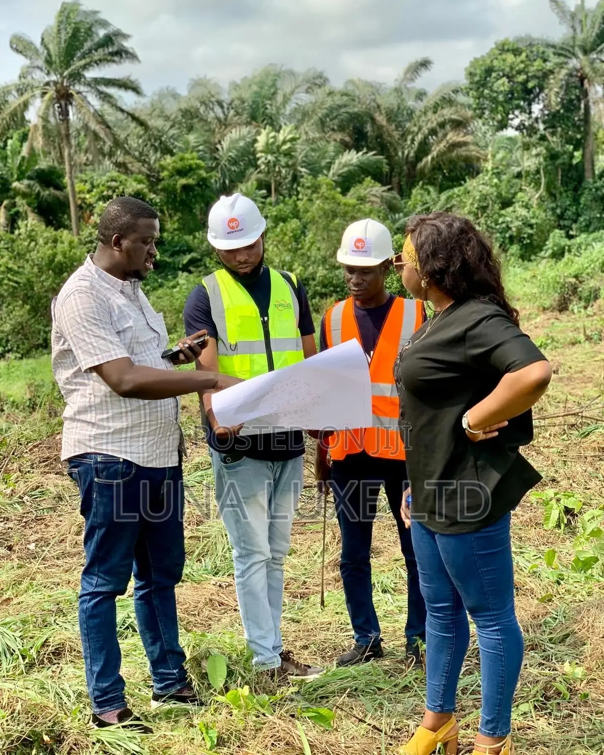 Land Economist