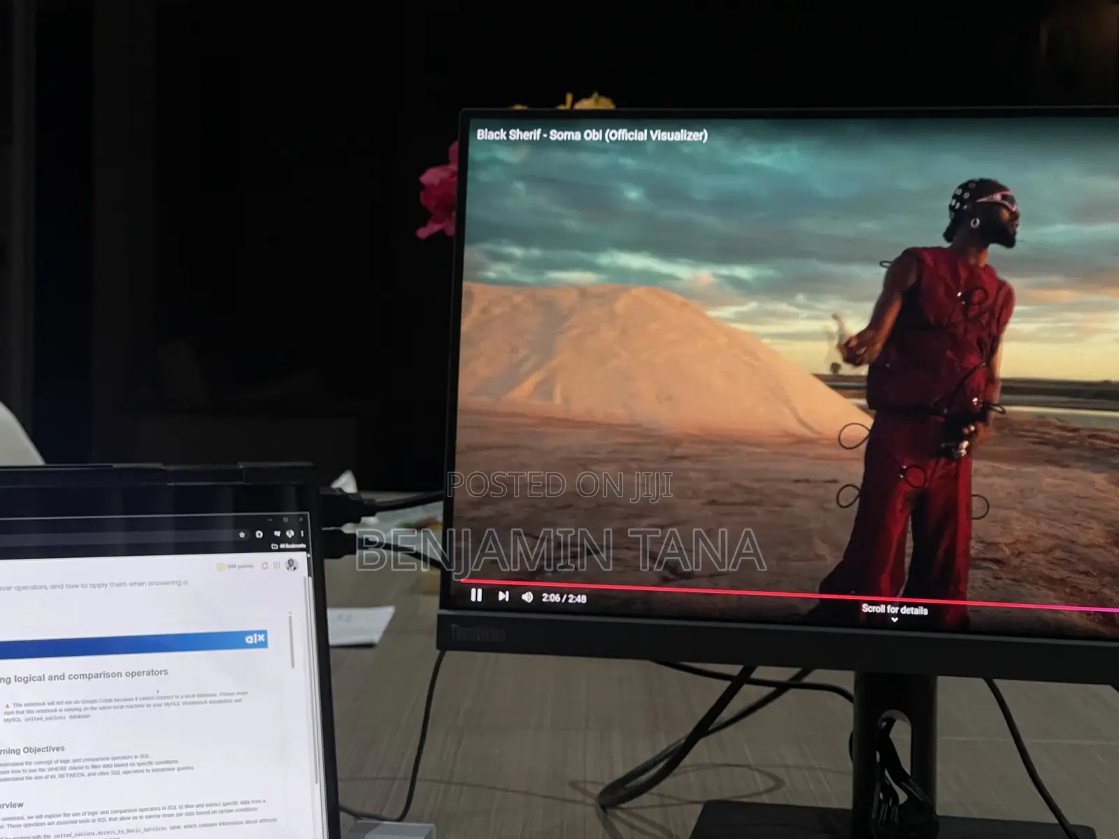 Lenovo Thinkvision S22i-30