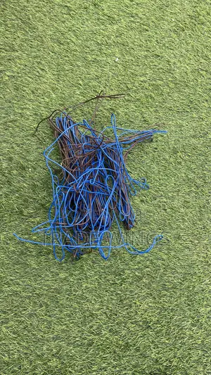 Long Blue Cable Used
