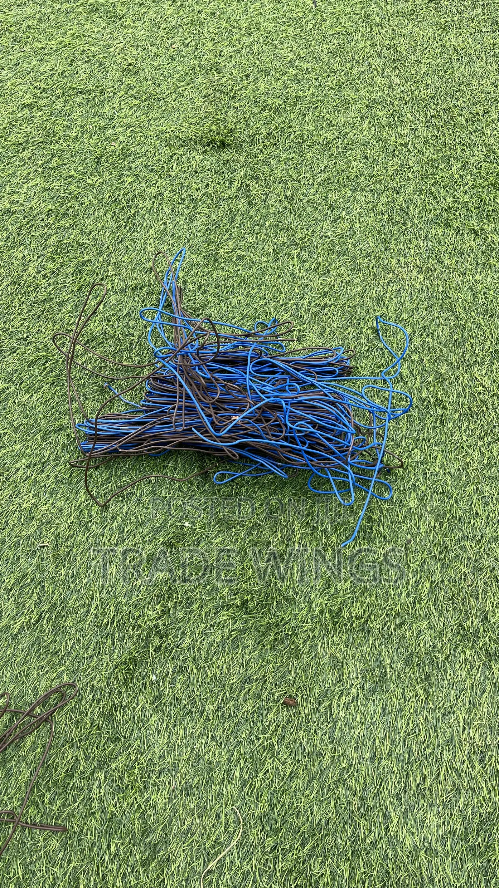 Long Blue Cable Used