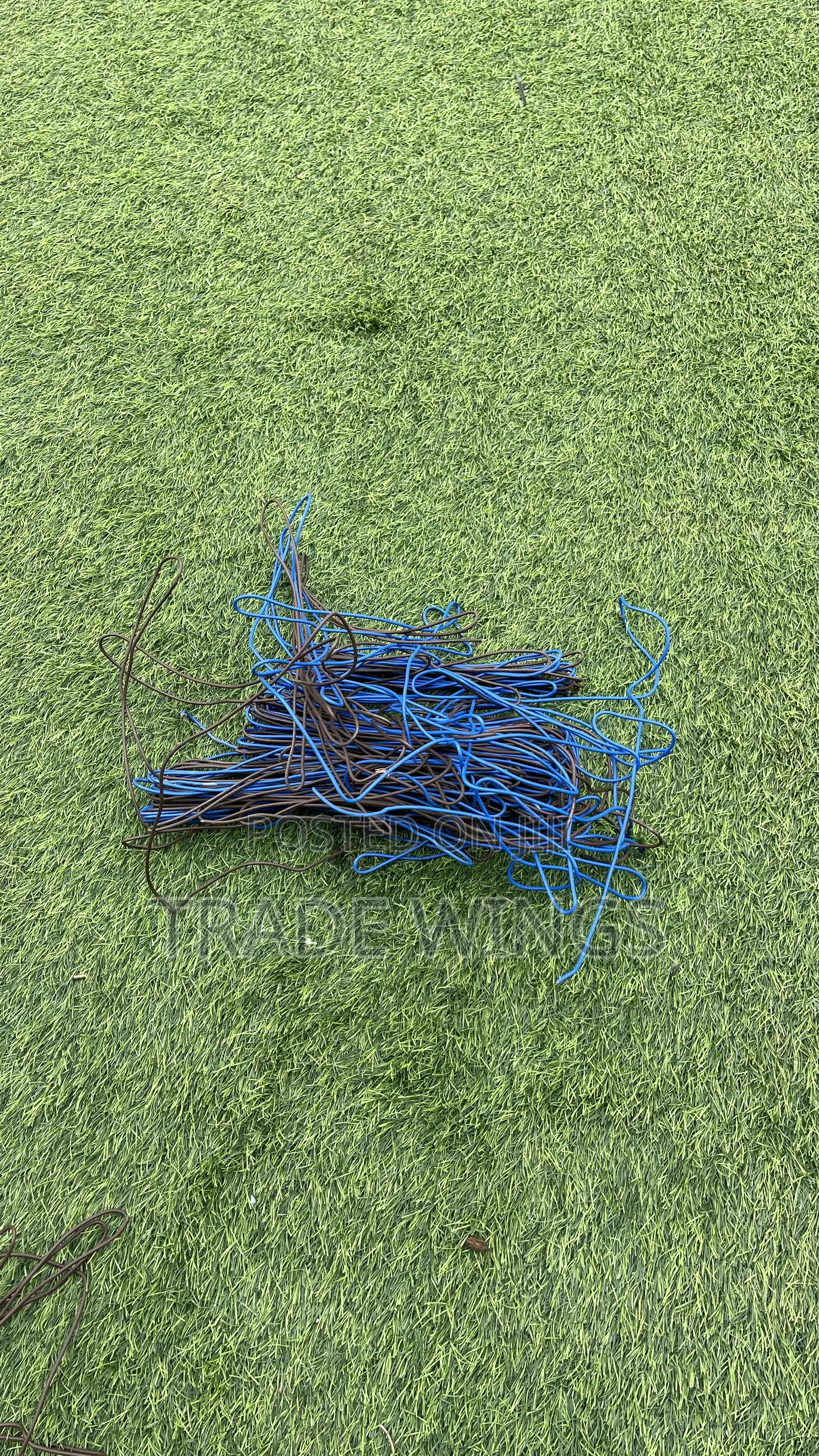 Long Blue Cable Used