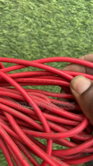 Long Used Red Cable