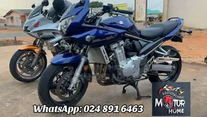 Suzuki 2010 Blue