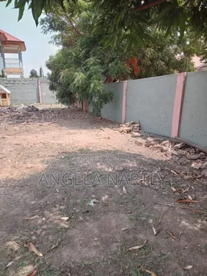 One Plot Available for Sale at Baatsonaa Spintex