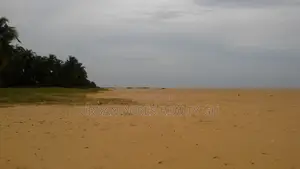 Volta Region, Denu (Adafienu) _ 6 Plots Oceanfront Land