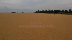 Volta Region, Denu (Adafienu) _ 6 Plots Oceanfront Land