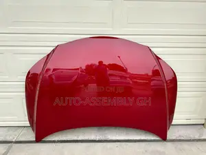 Lexus Rx 350, 2023,2024,2025,2026 Bonnet Hood