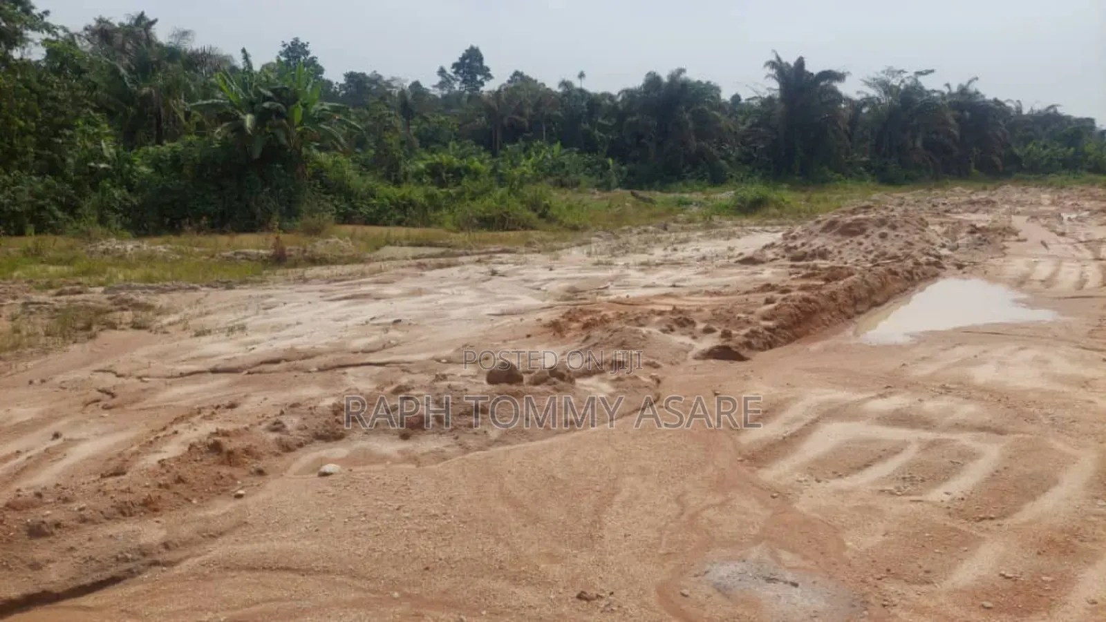 3 and Half Acres of Farm Located at Kwabere Kasaam Is Being Sold Out