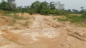 Seven Acres of Farm Located at Kwabere Kasaam Is Being Sold Out