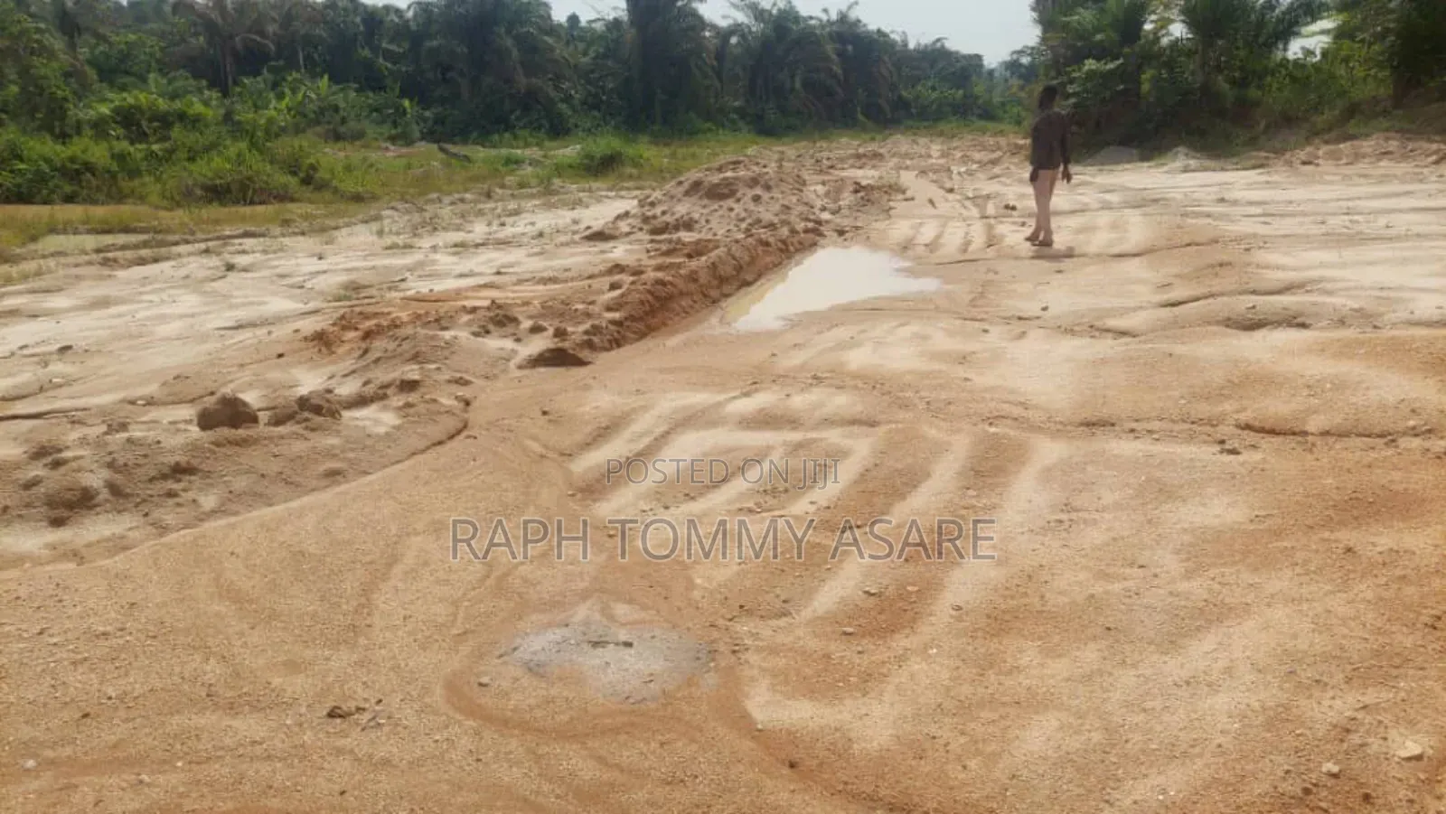 3 and Half Acres of Farm Located at Kwabere Kasaam Is Being Sold Out