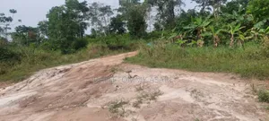 3 and Half Acres of Farm Located at Kwabere Kasaam Is Being Sold Out