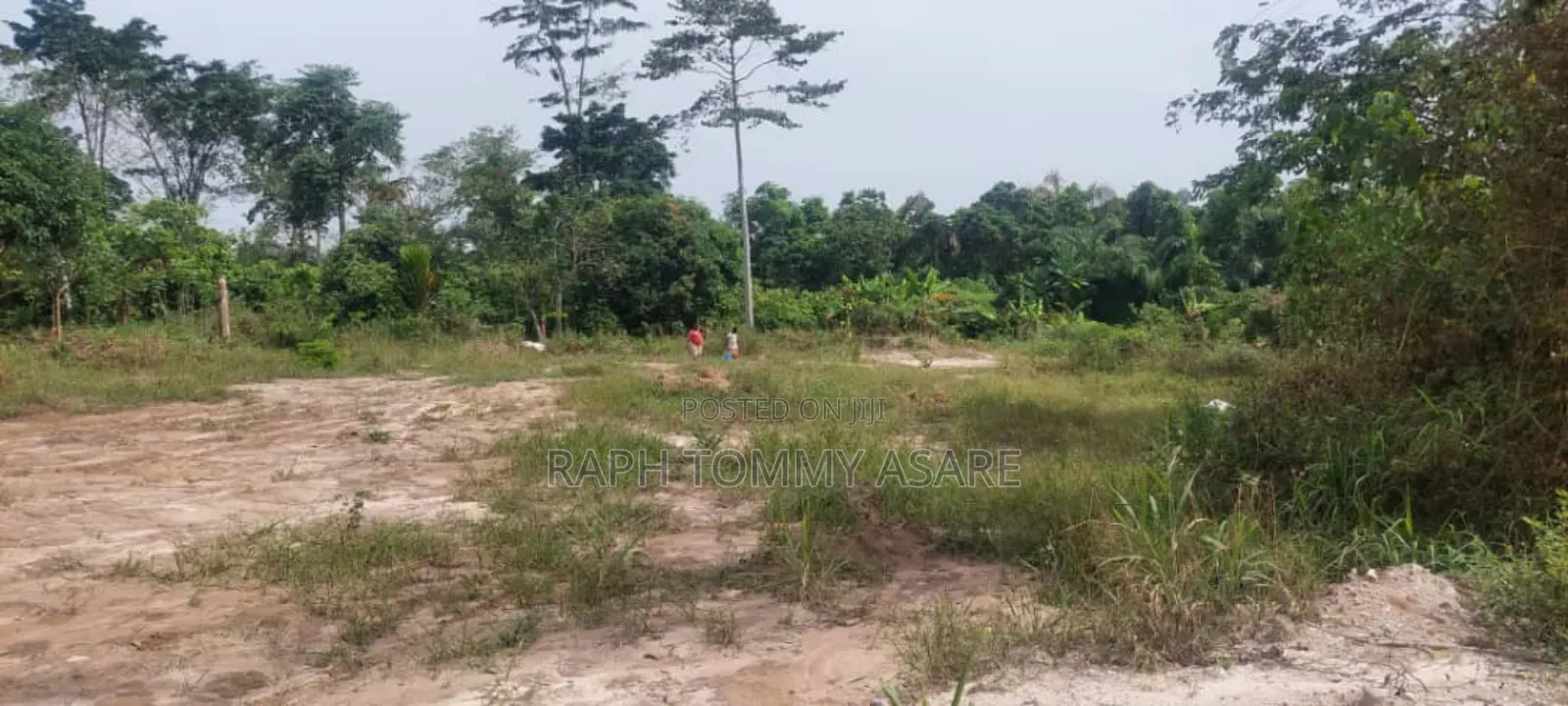 3 and Half Acres of Farm Located at Kwabere Kasaam Is Being Sold Out