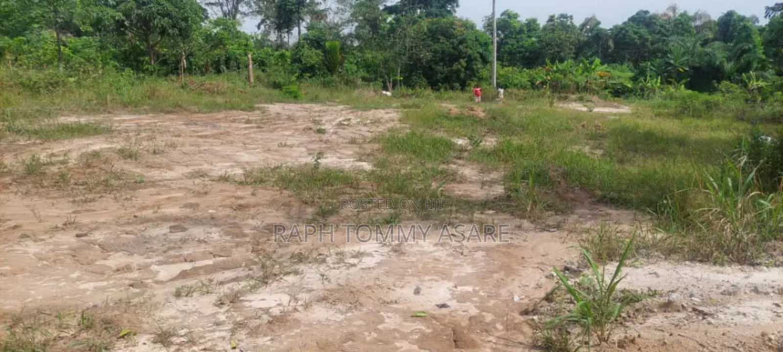 3 and Half Acres of Farm Located at Kwabere Kasaam Is Being Sold Out
