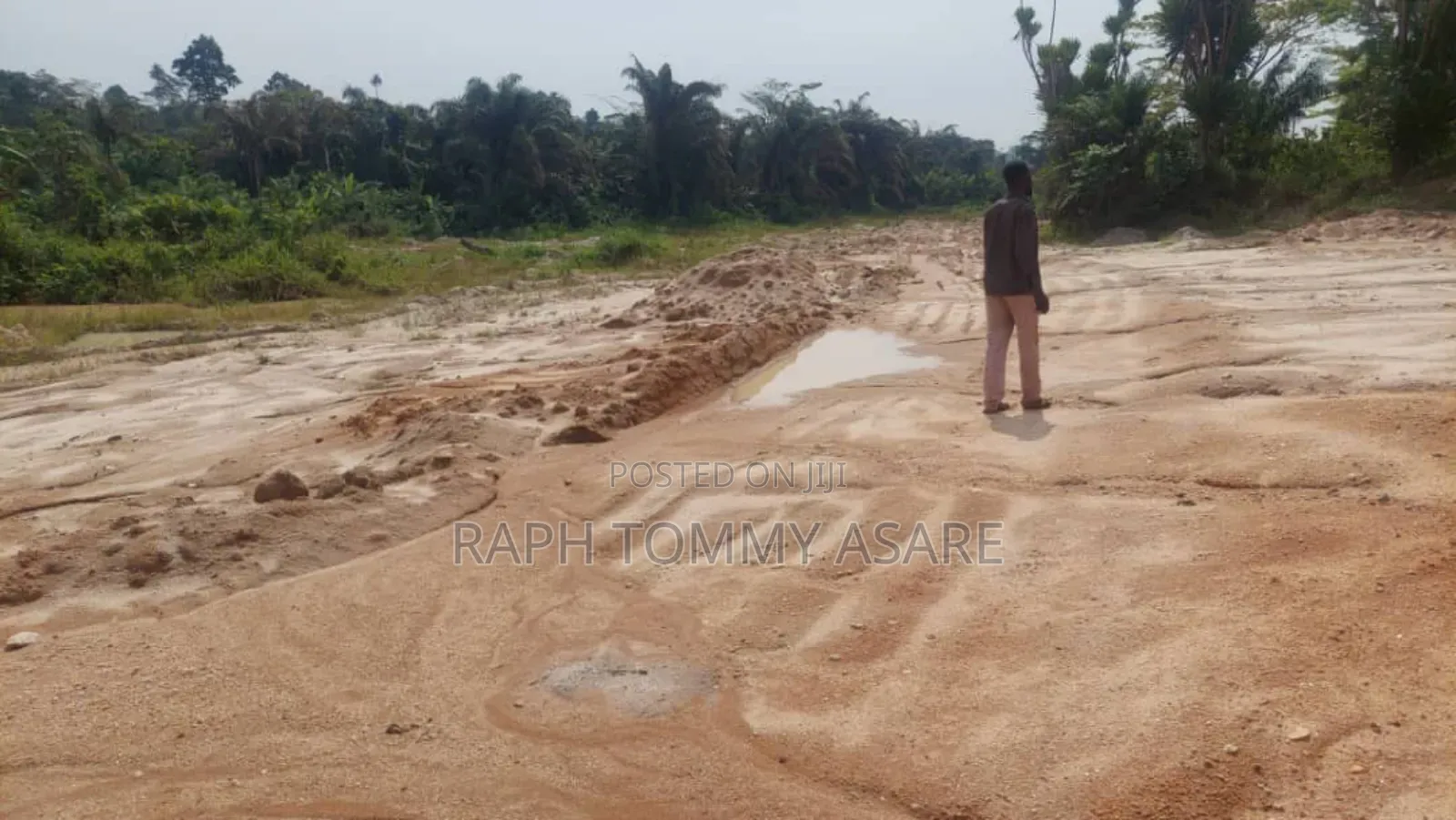 3 and Half Acres of Farm Located at Kwabere Kasaam Is Being Sold Out
