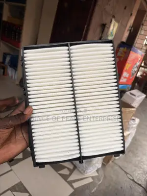 Hyundai Elantra 2017 2018 2019 Air Cleaner