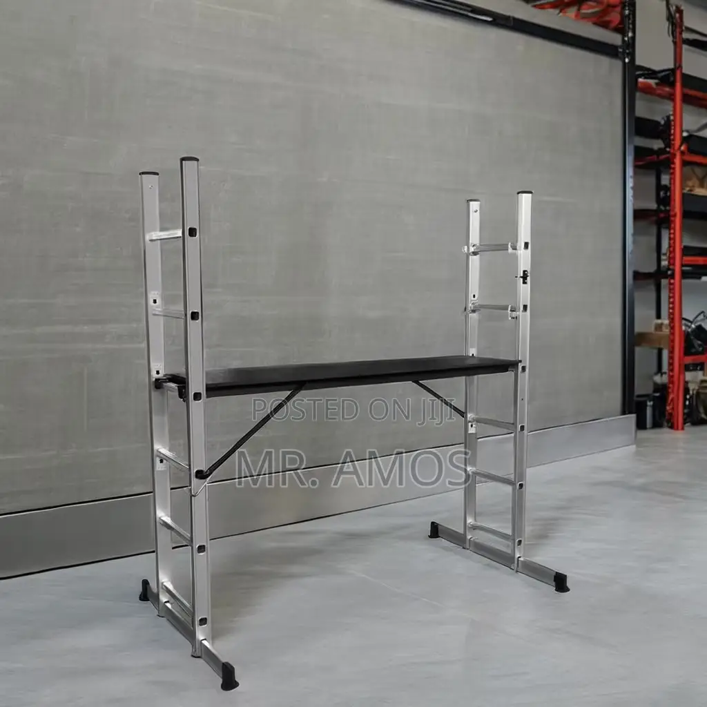 6 Steps Scaffolding Ladder Wlds106