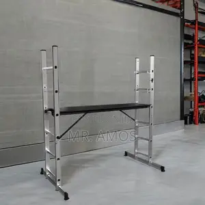 6 Steps Scaffolding Ladder Wlds106