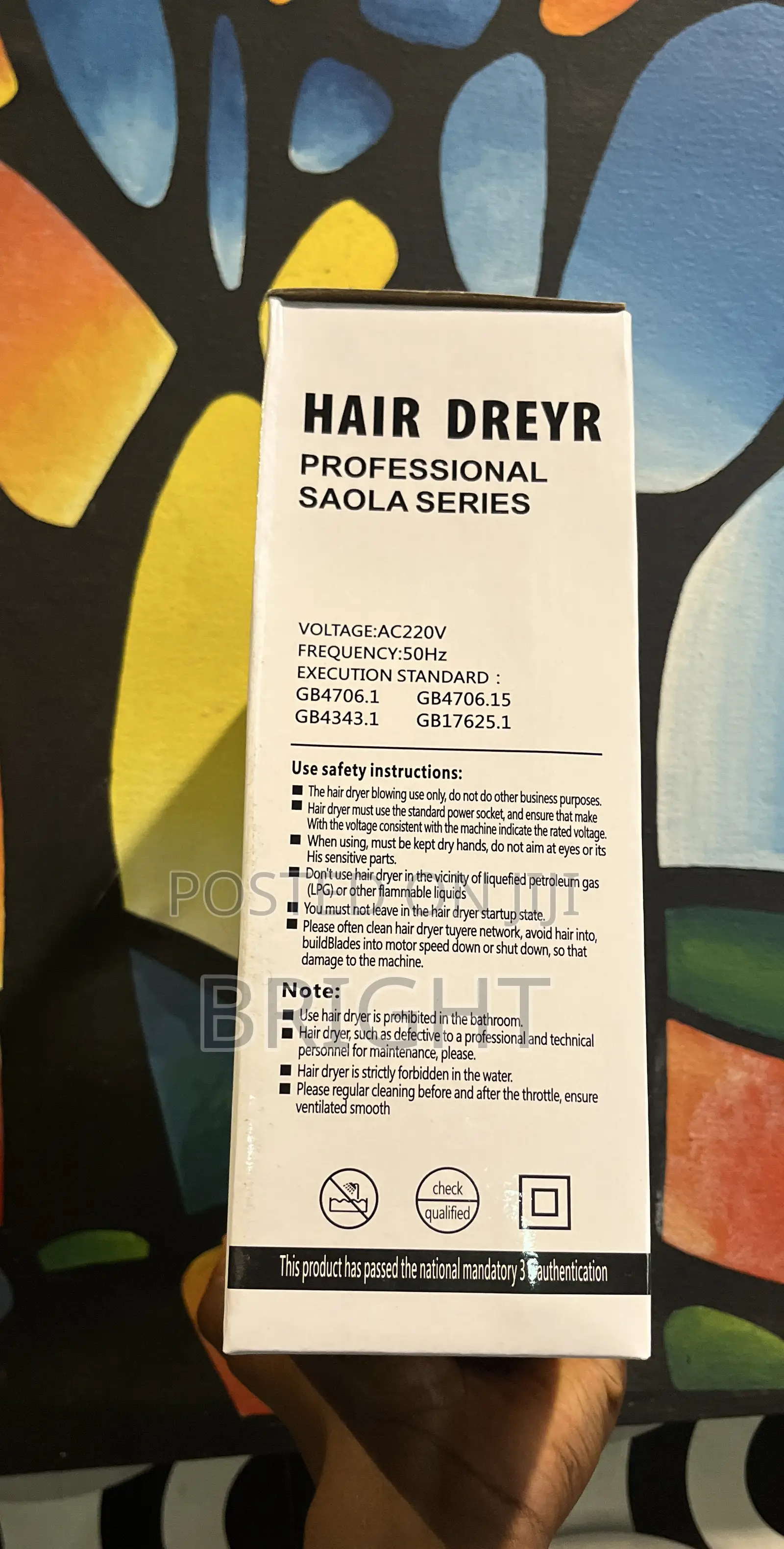 Professional Hair Dryer Set