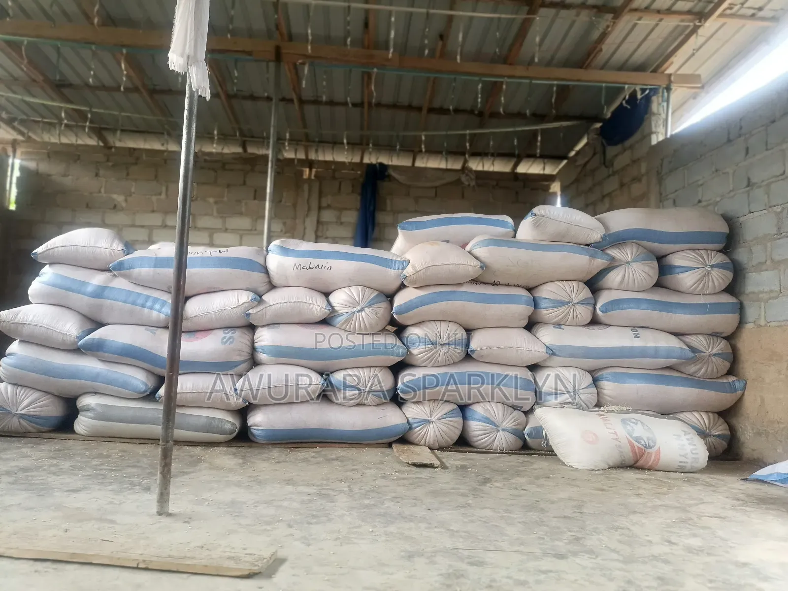 Maize for Sale