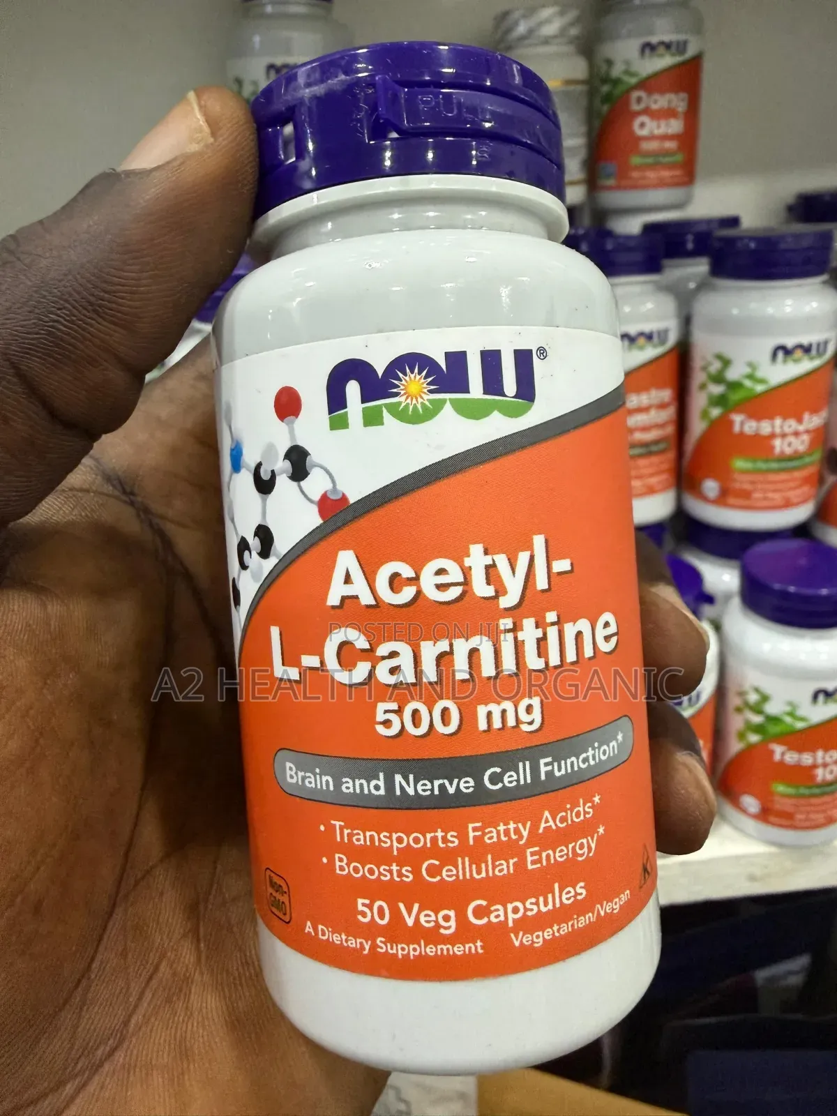 Acetyl - L - Carnatine