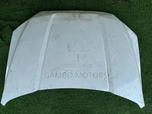 Ford F150 2015 /2021 Hood/ Bonet