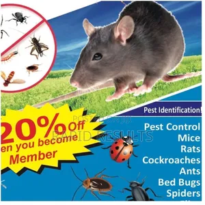 Fumigation Masters