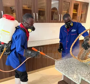 Containers Fumigation Services