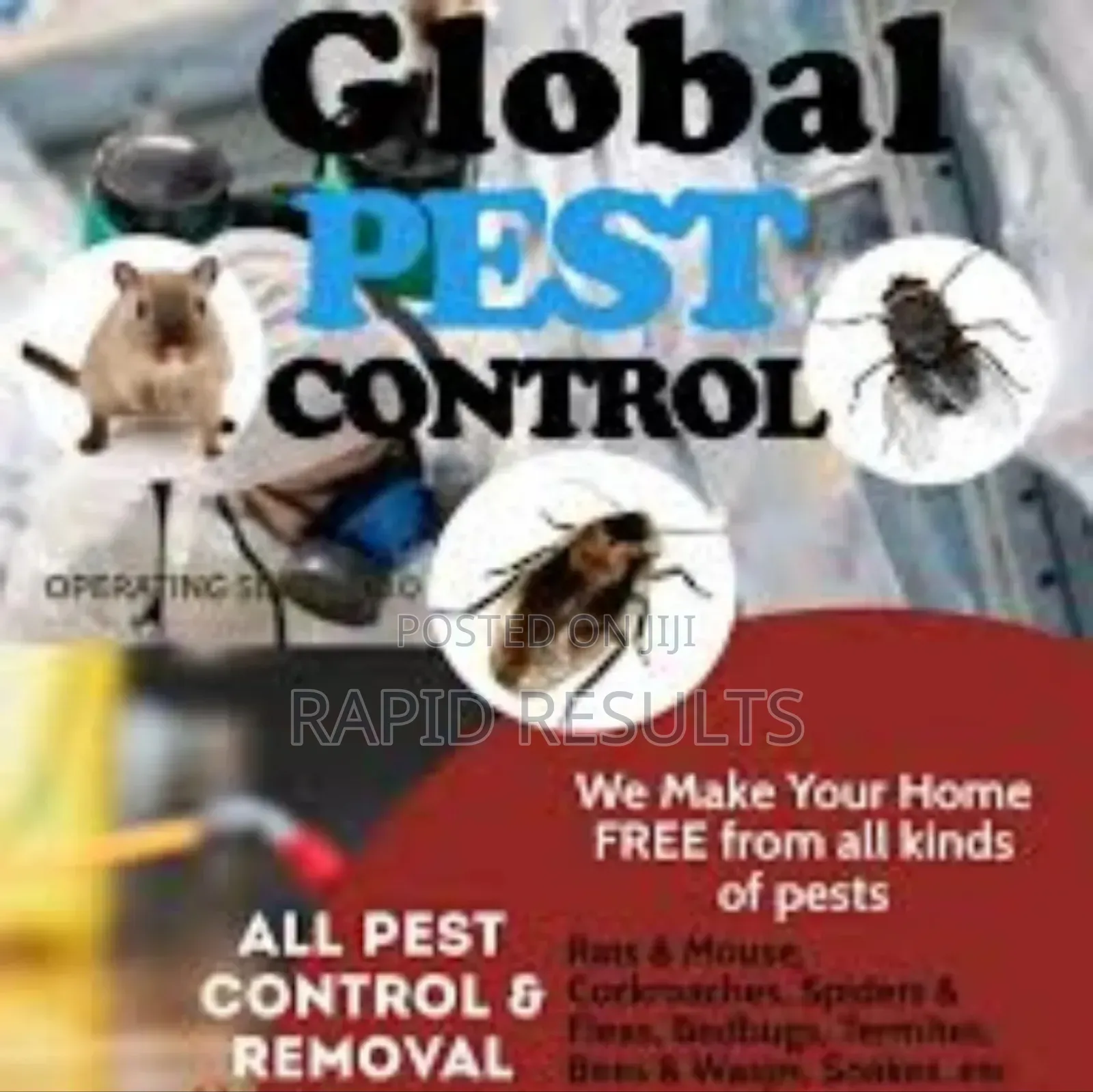 Fumigation Services