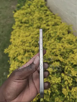 Apple iPhone 15 Pro Max 256 GB Silver