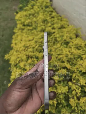Apple iPhone 15 Pro Max 256 GB Silver