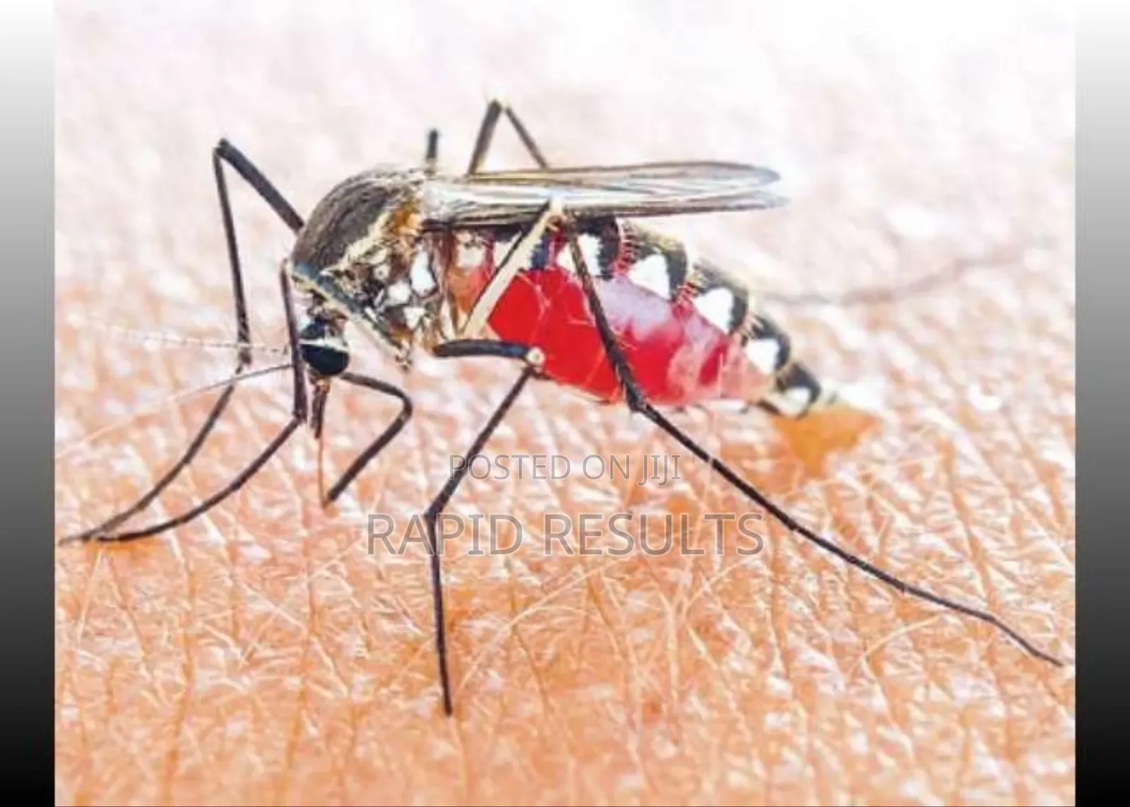 Expert Control Against Mosquitoes