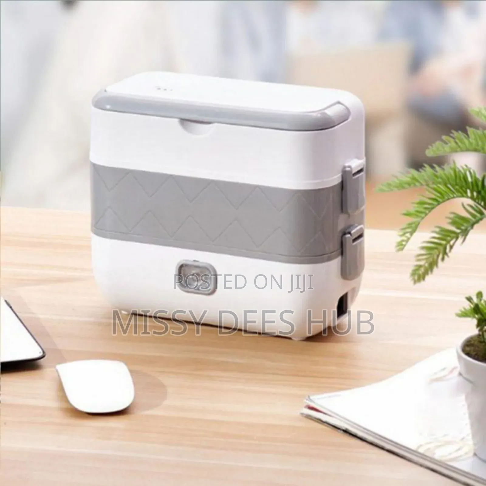 Electric Cooking Lunchbox