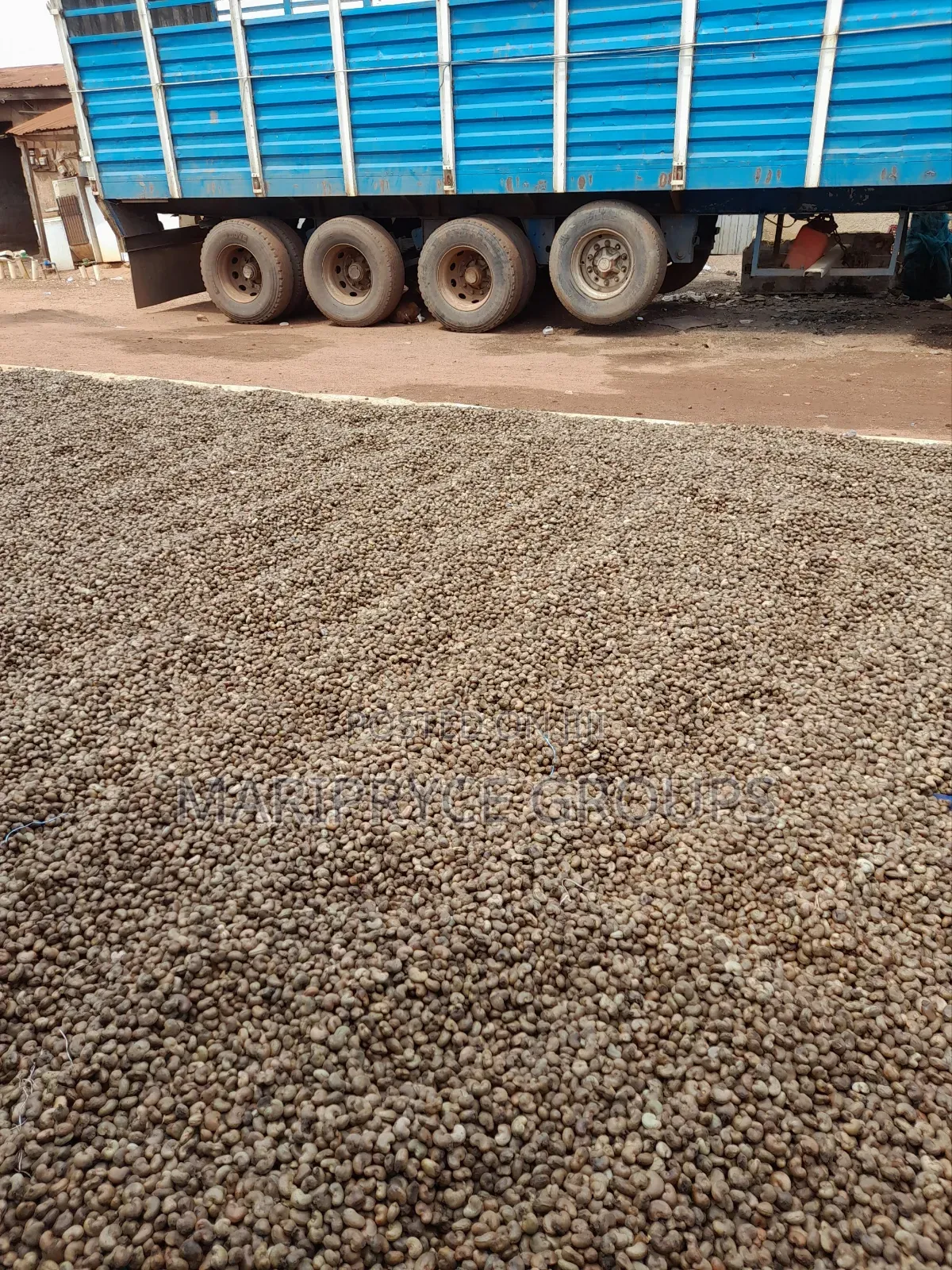 Raw Cashew Nuts