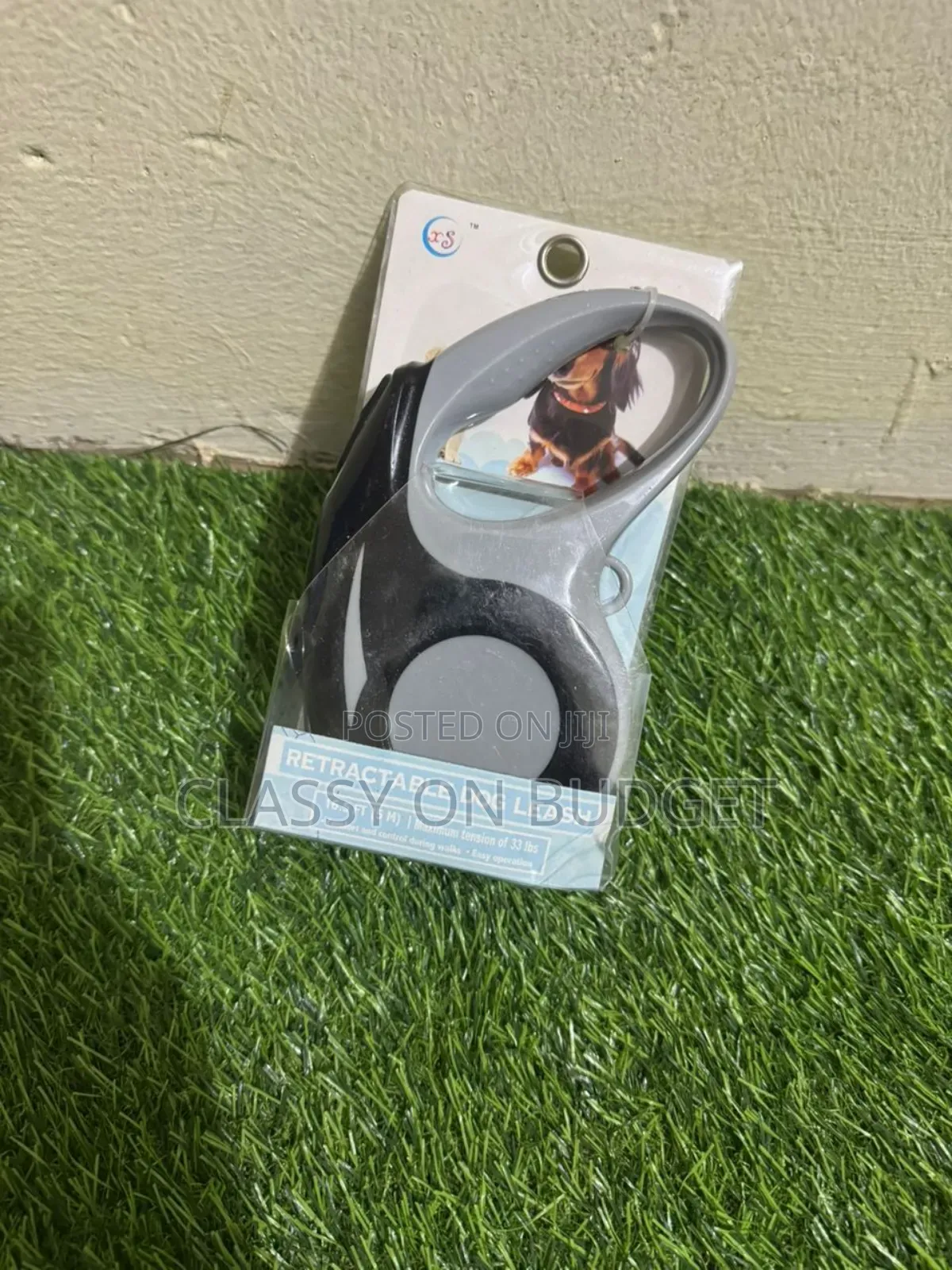 Retractable Dog Leash