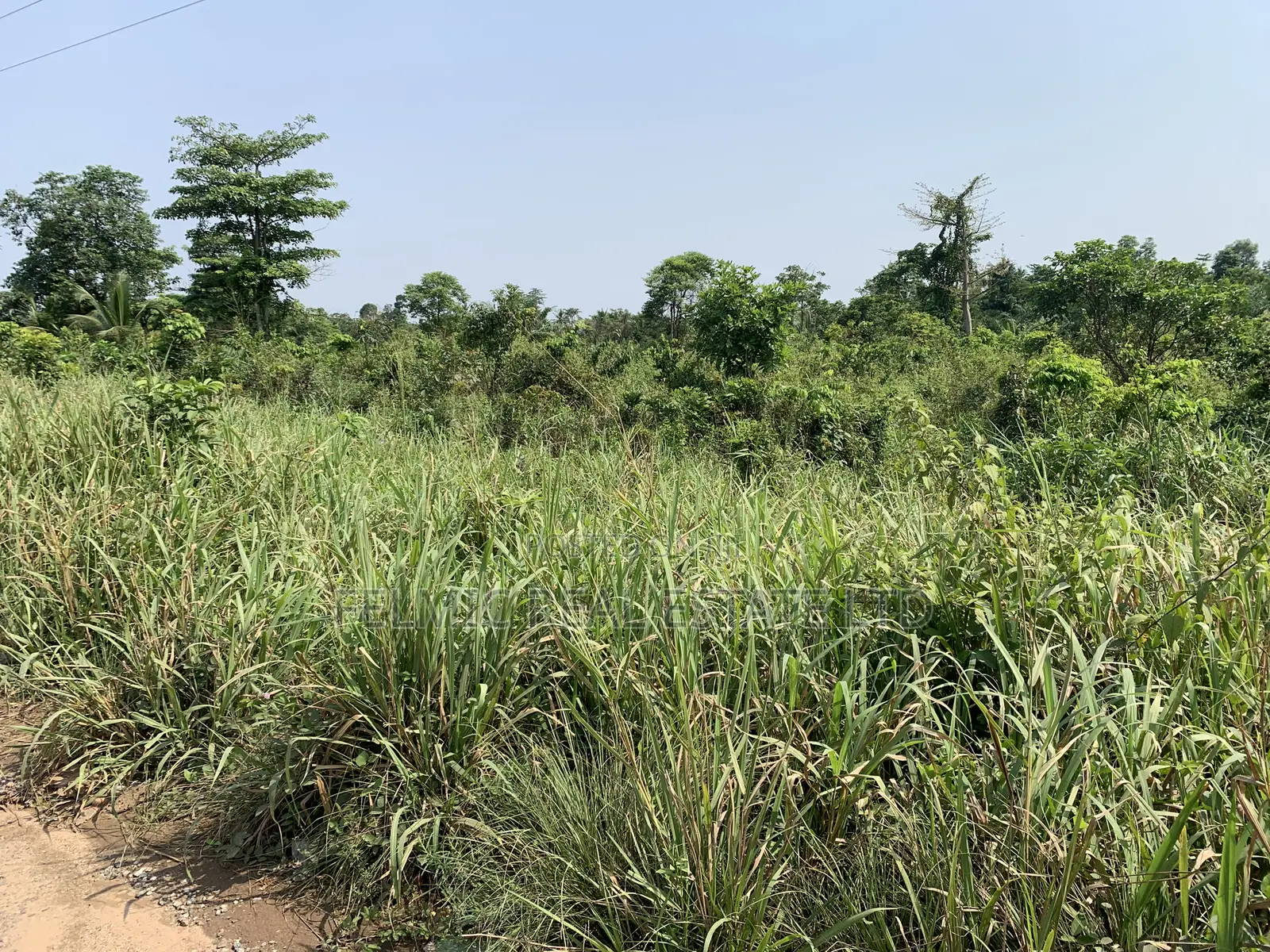 50 Acres at Adeiso for Sale
