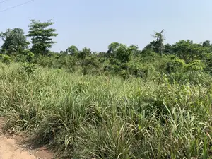 50 Acres at Adeiso for Sale