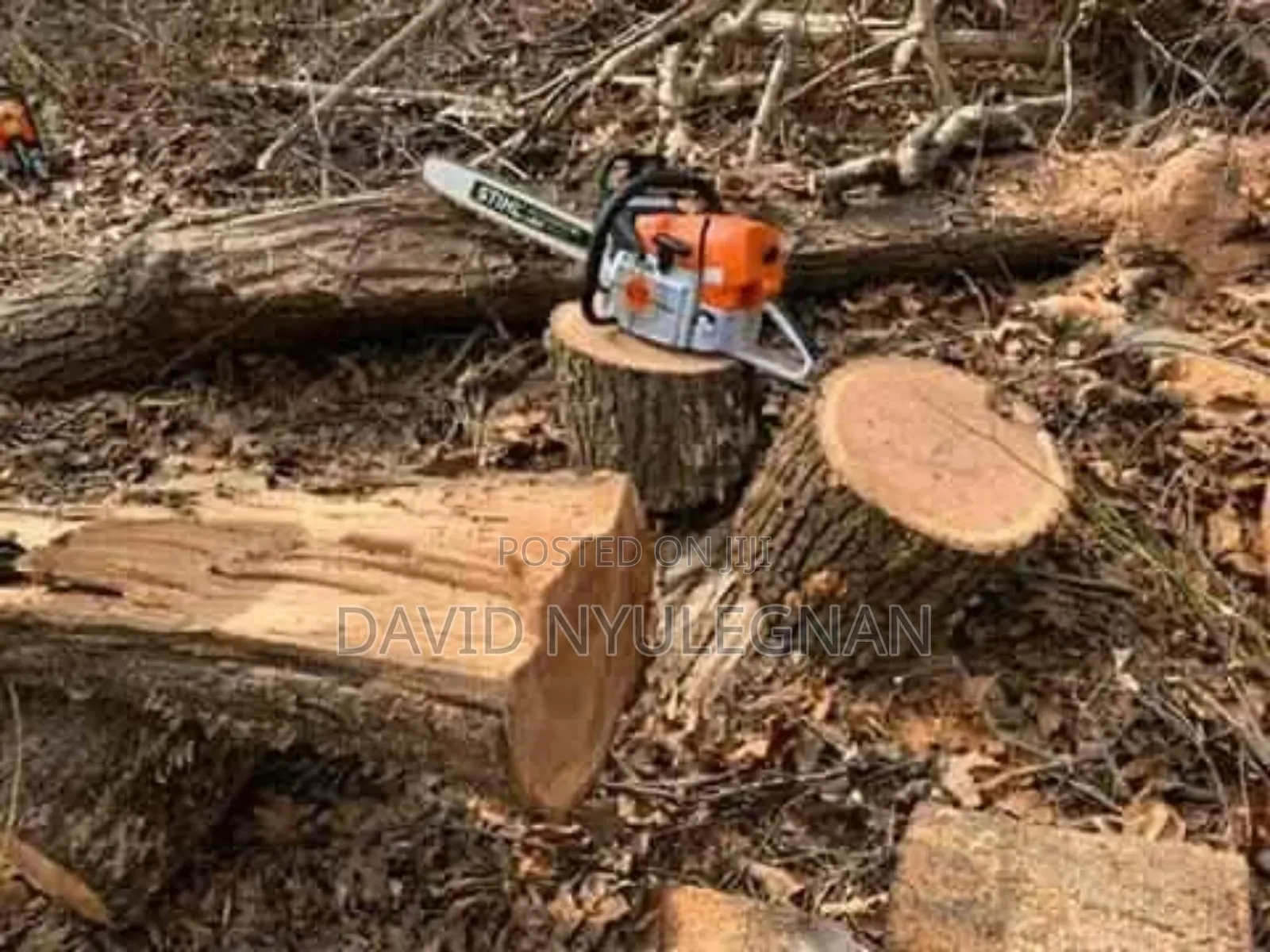 Tree Cutting