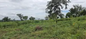 Western Region, Beposo (Atwerboanda) _ 20+ Acres Farmland