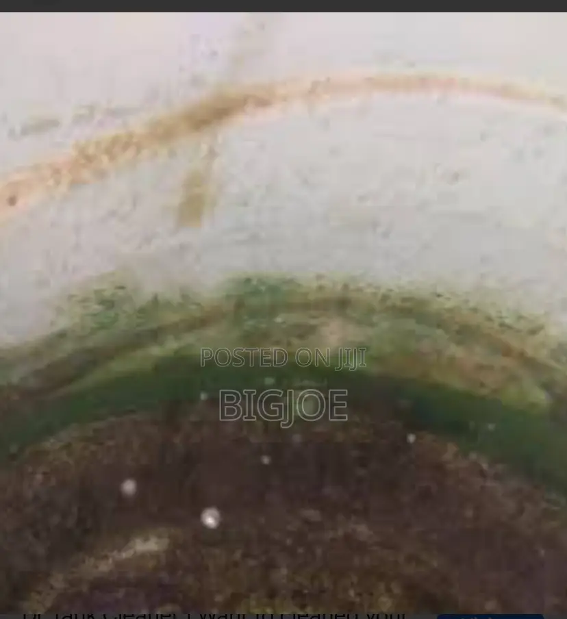 Water Tank Cleaner Experts