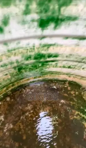 Water Tank Cleaner Experts