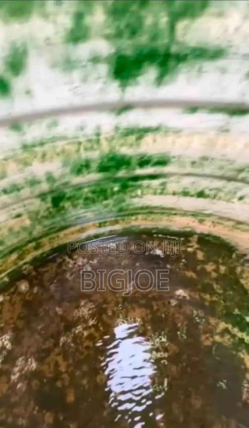 Water Tank Cleaner Experts